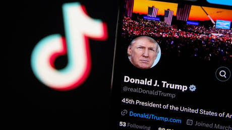 Trump says Microsoft is considering TikTok bid